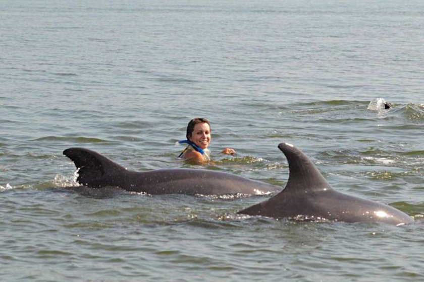 delfines puerto vallarta