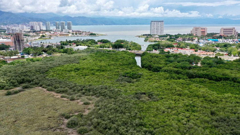 estero el salado puerto vallarta