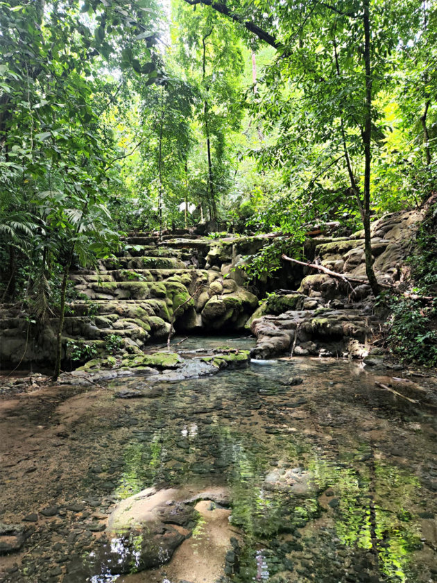 naturaleza palenque chiapas