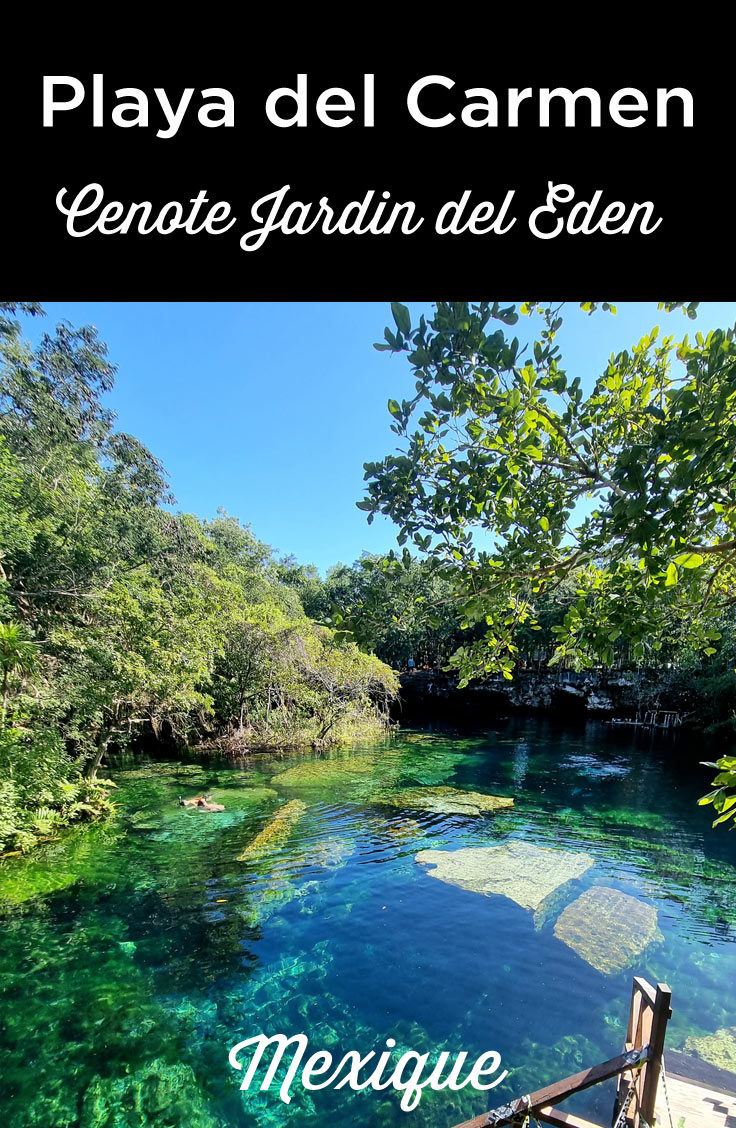 cenote-jardin-del-eden-playa-del-carmen