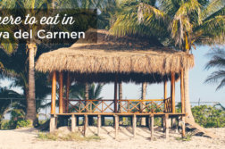best-restaurants-playa-del-carmen