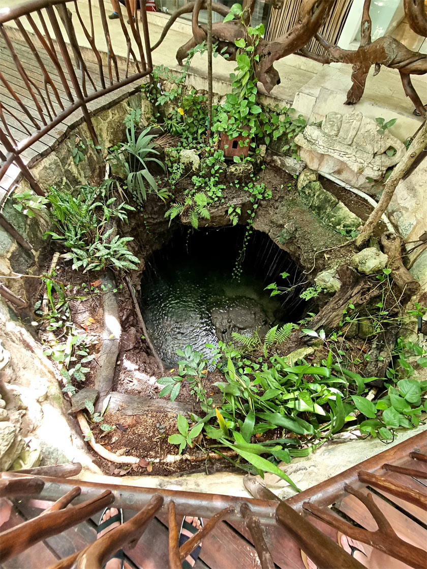 cenote-caché-playa-del-carmen