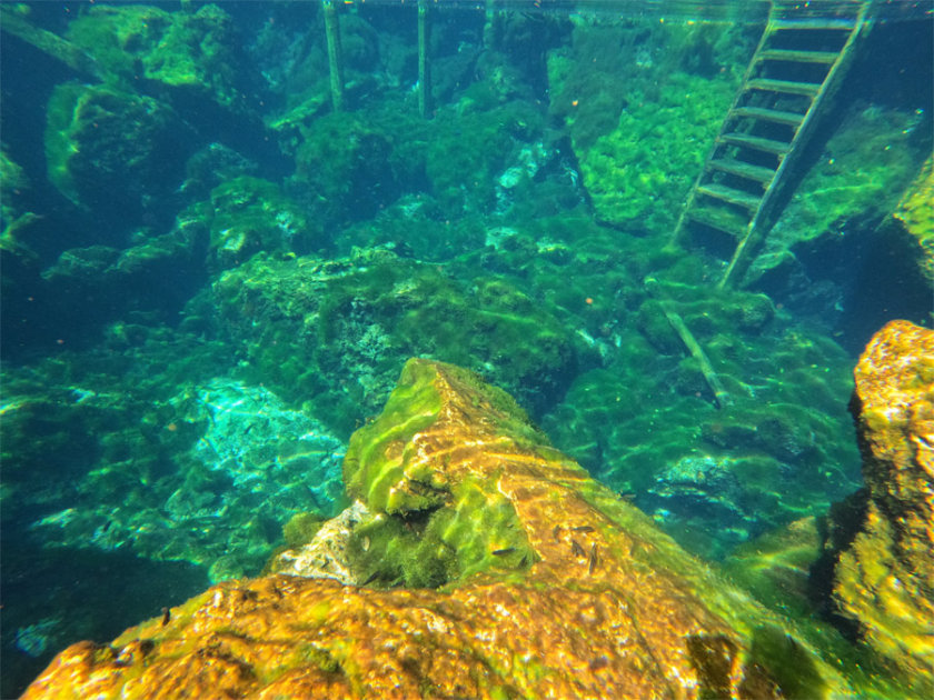 water cenote eden