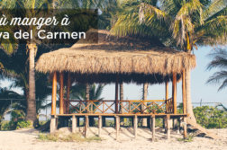 meilleurs-restaurants-playa-del-carmen