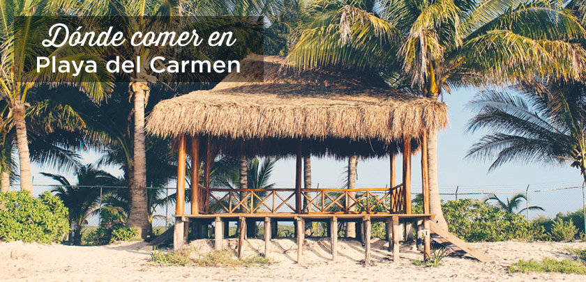 19 Mejores restaurantes en Playa del Carmen | México2023