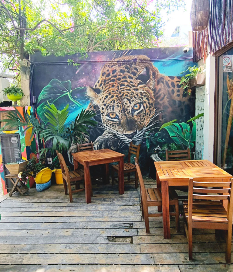 Where to eat in Playa del Carmen: the best restaurants | 2025