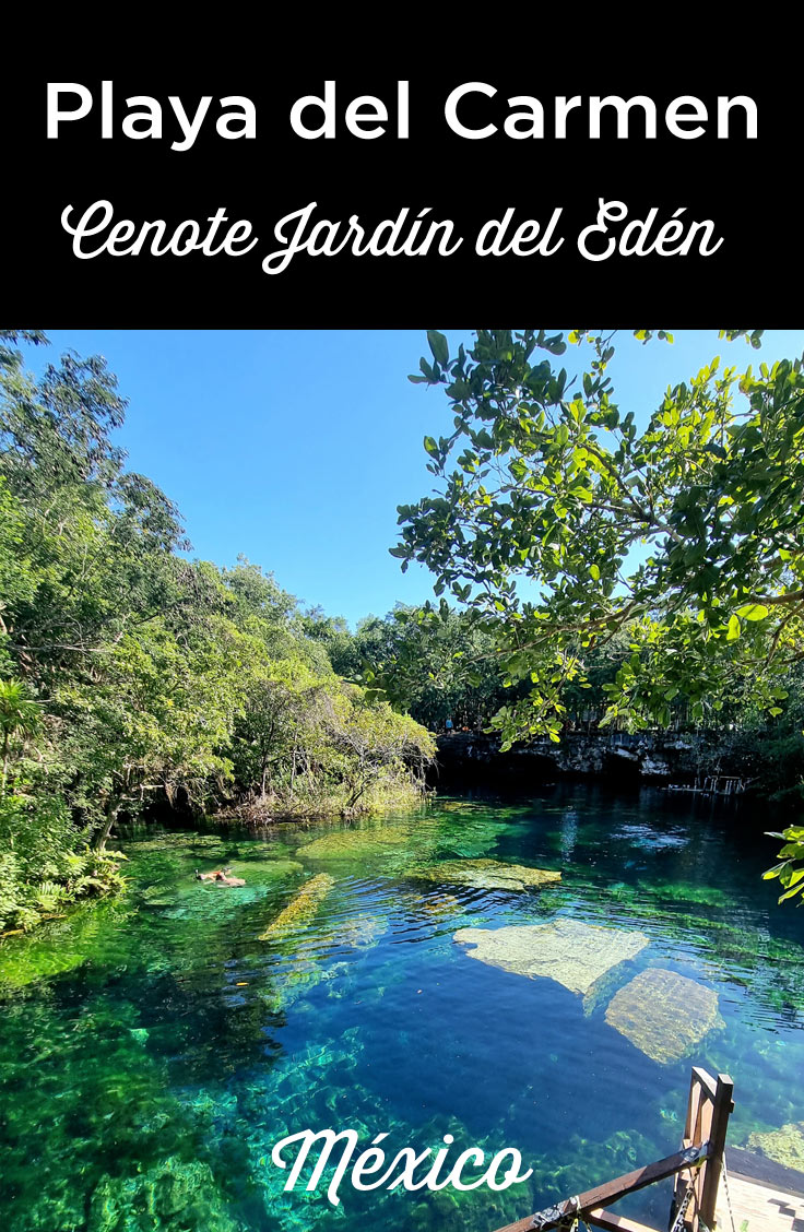 visitar-el-cenote-jardin-del-eden