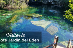 visiter-le-cenote-jardin-del-eden