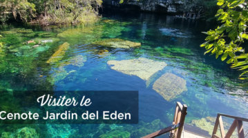 visiter-le-cenote-jardin-del-eden