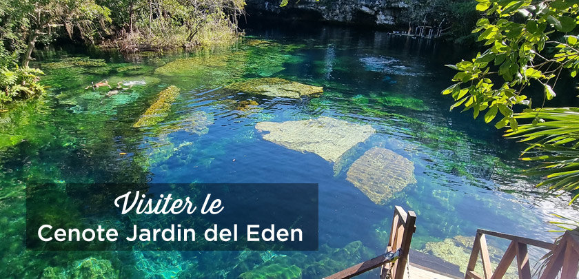 visiter-le-cenote-jardin-del-eden