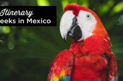 mexico-itinerary-2-weeks