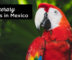 mexico-itinerary-2-weeks