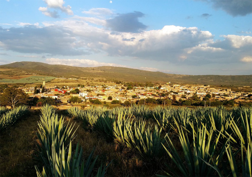 tequila jalisco