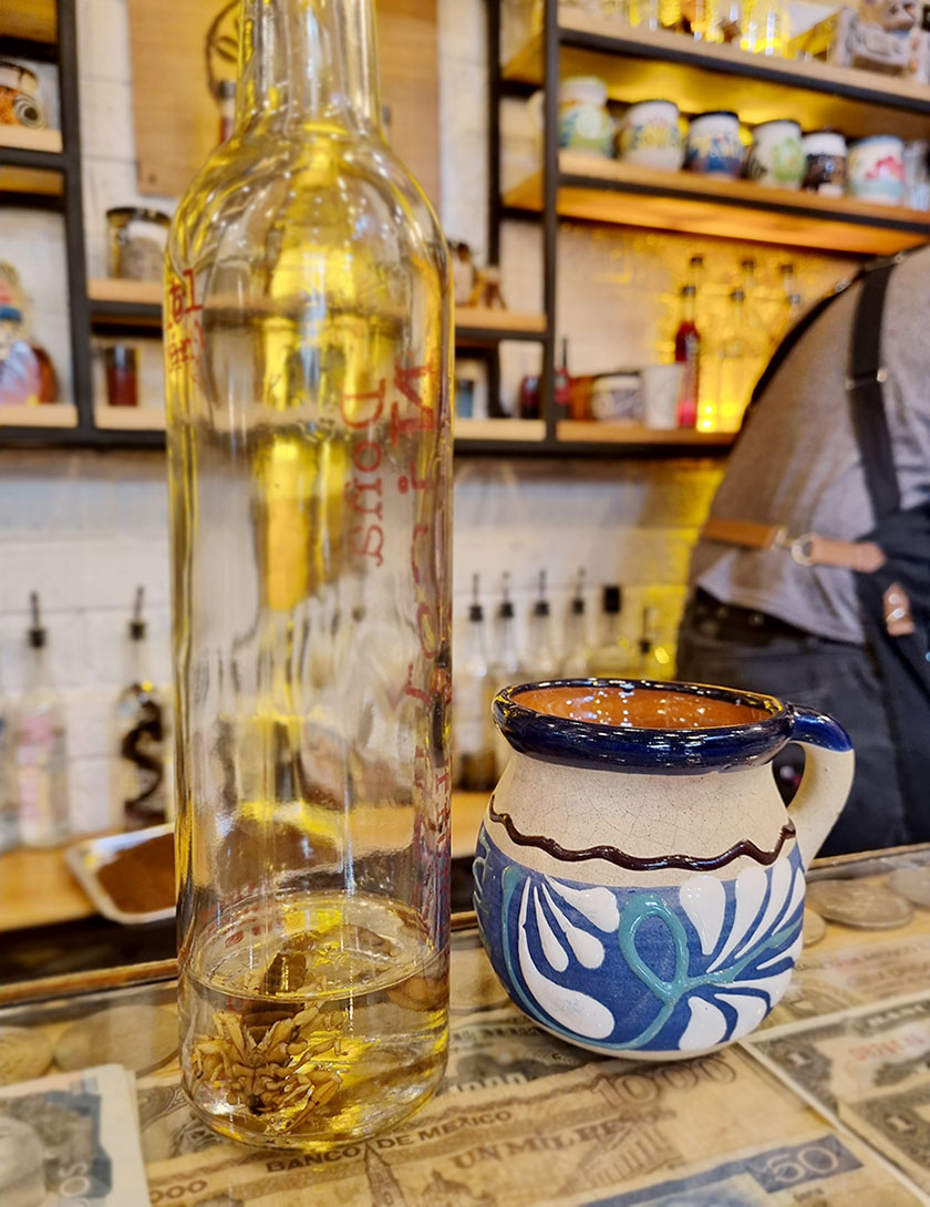 mezcal with scorpion