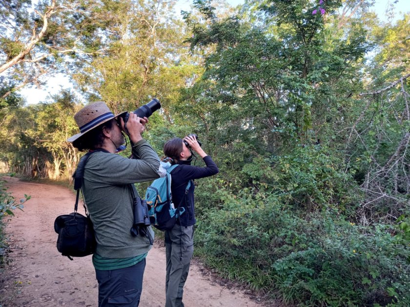 birdwatching valladolid yucatan