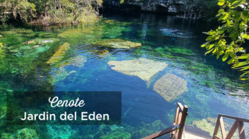 cenote jardin del eden playa del carmen