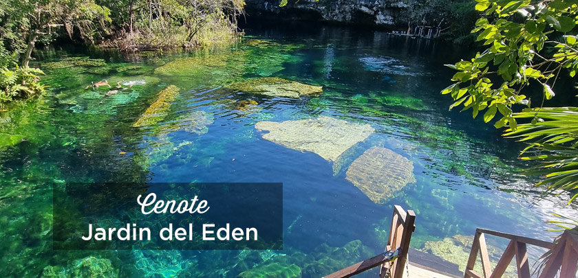 cenote jardin del eden playa del carmen