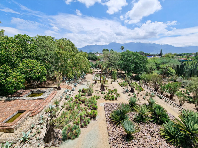 Vue Jardin Ethnobotanique Oaxaca