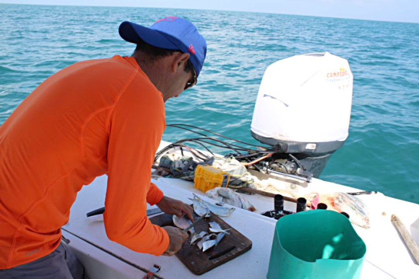 fishing holbox