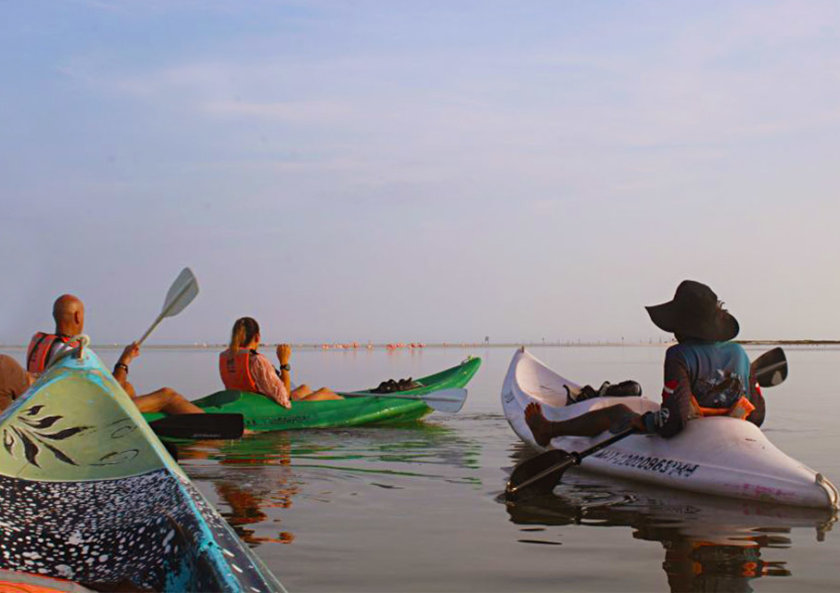 holbox kayak excursion