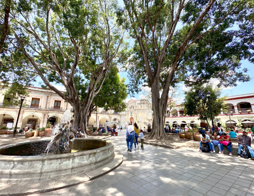 oaxaca zocalo mexique