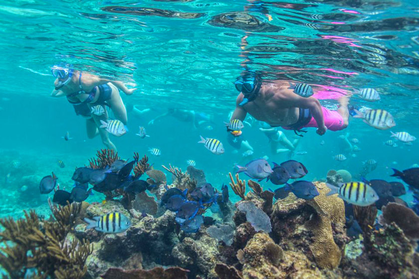 snorkeling tulum