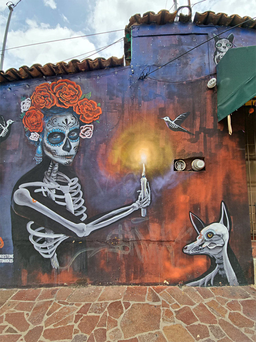 street art oaxaca xochimilco