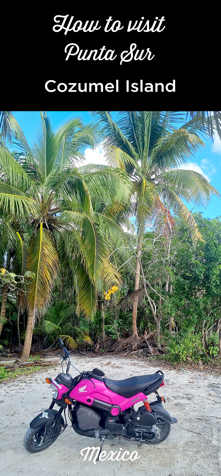 visit Punta Sur Cozumel Island