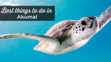 things to do akumal