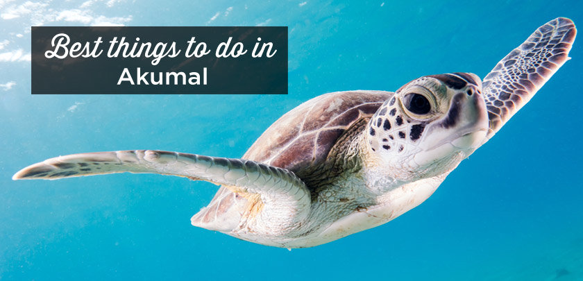 things to do akumal