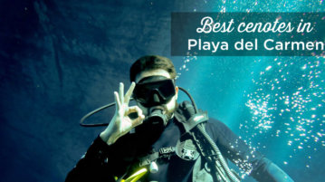 best cenotes in playa del carmen