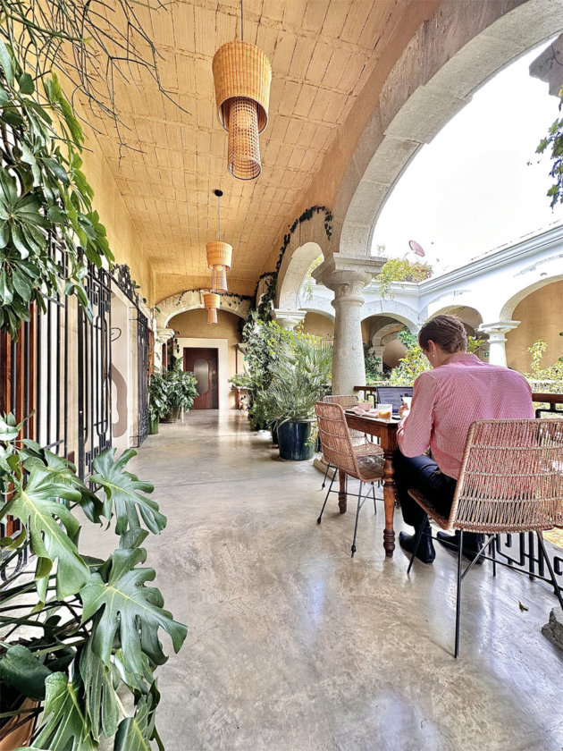 Amá Terraza Casa Antonieta