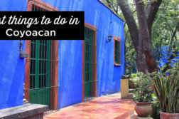 things to do coyoacan mexico city