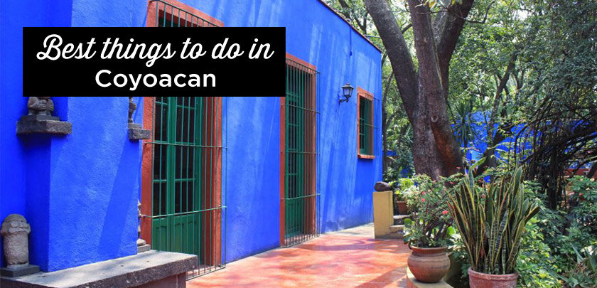 things to do coyoacan mexico city