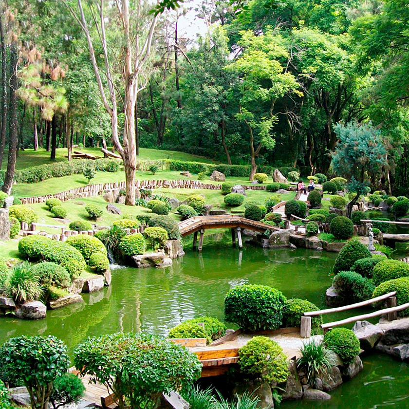 bosque colomos guadalajara