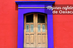cafeterias oaxaca