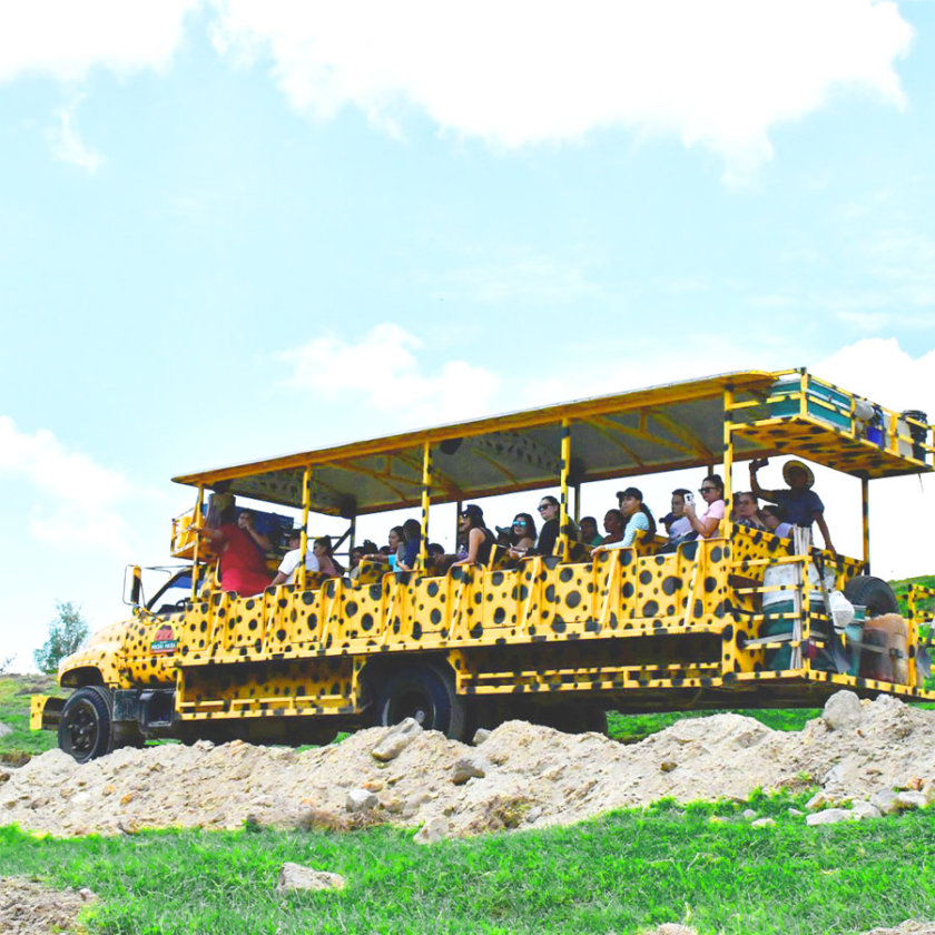 guadalajara zoo