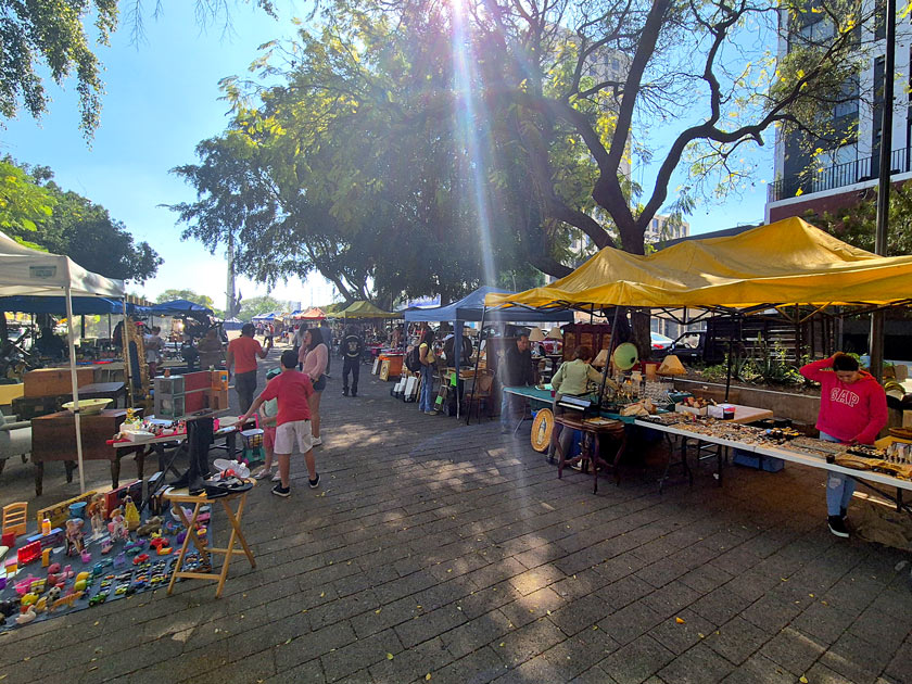 tianguis trocadero guadalajara mexico