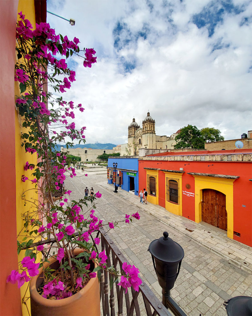 view oaxaca bar selva