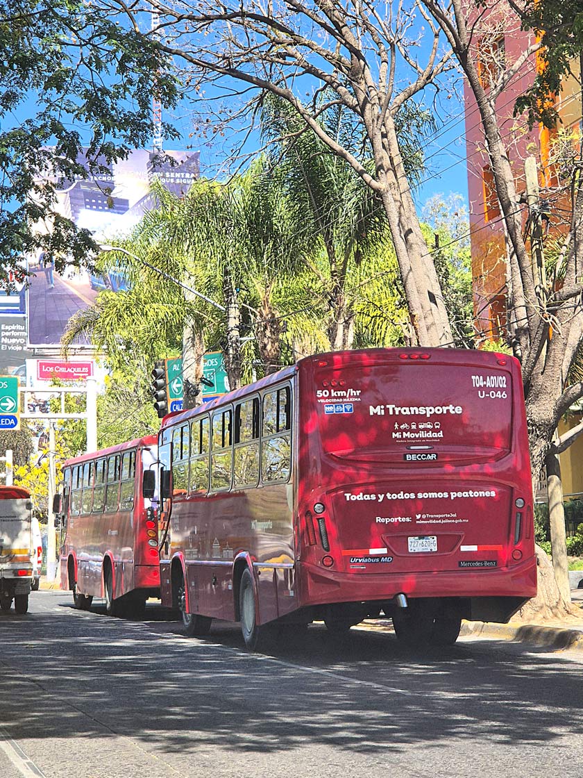 autobus guadalajara