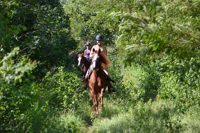 horseback riding tulum