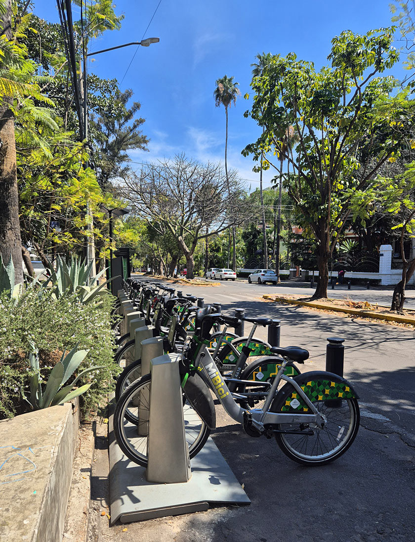 bici guadalajara