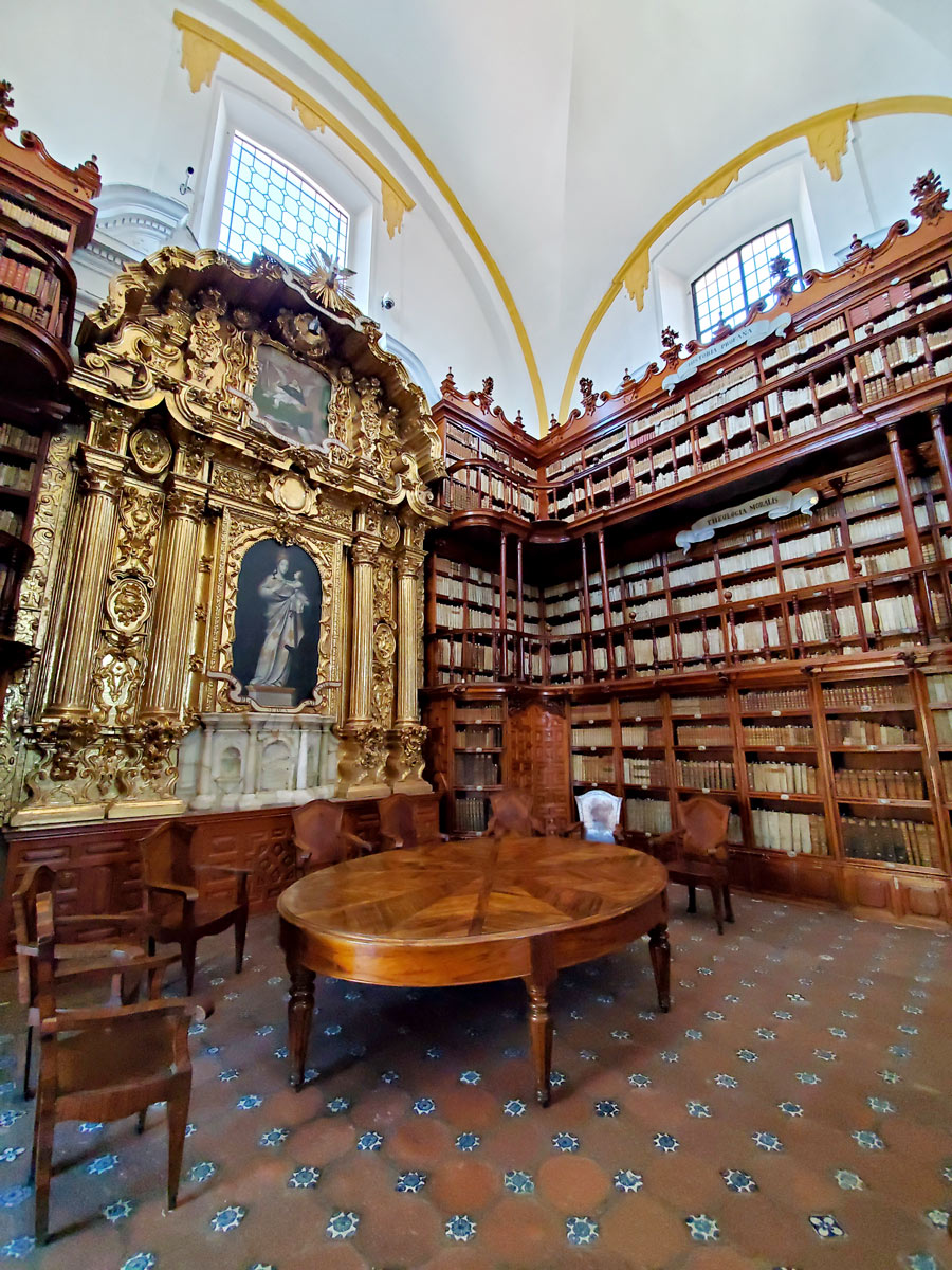 biblioteca Puebla