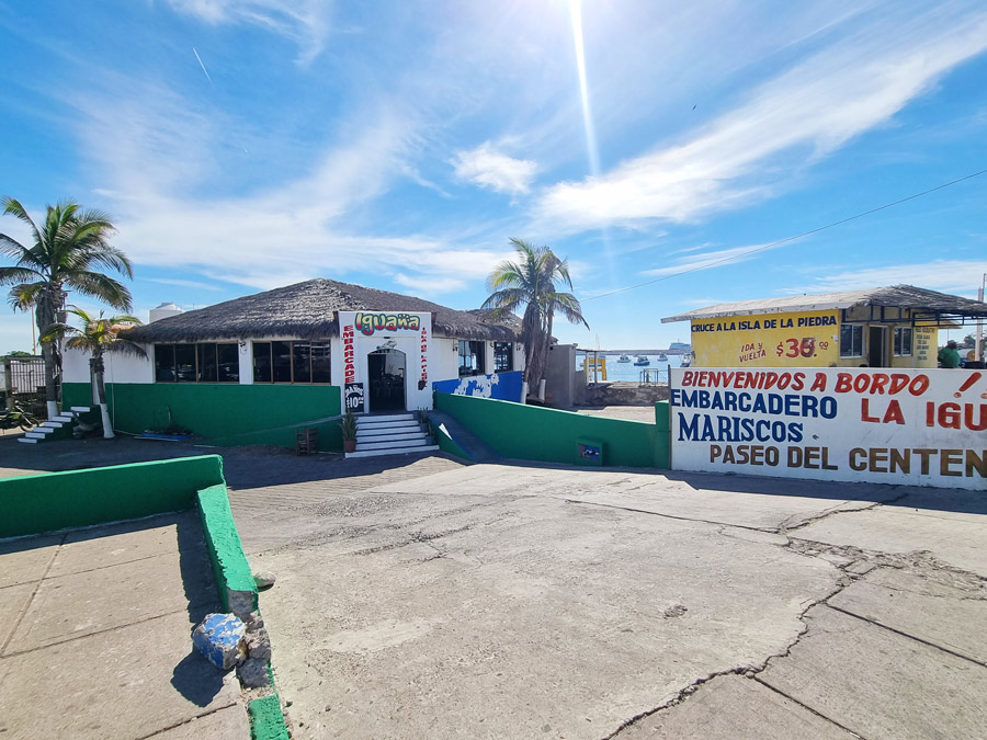 iguana pier isla piedra