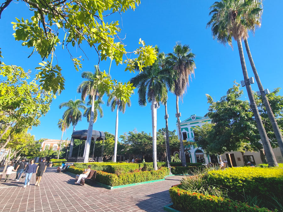 plaza machado mazatlan