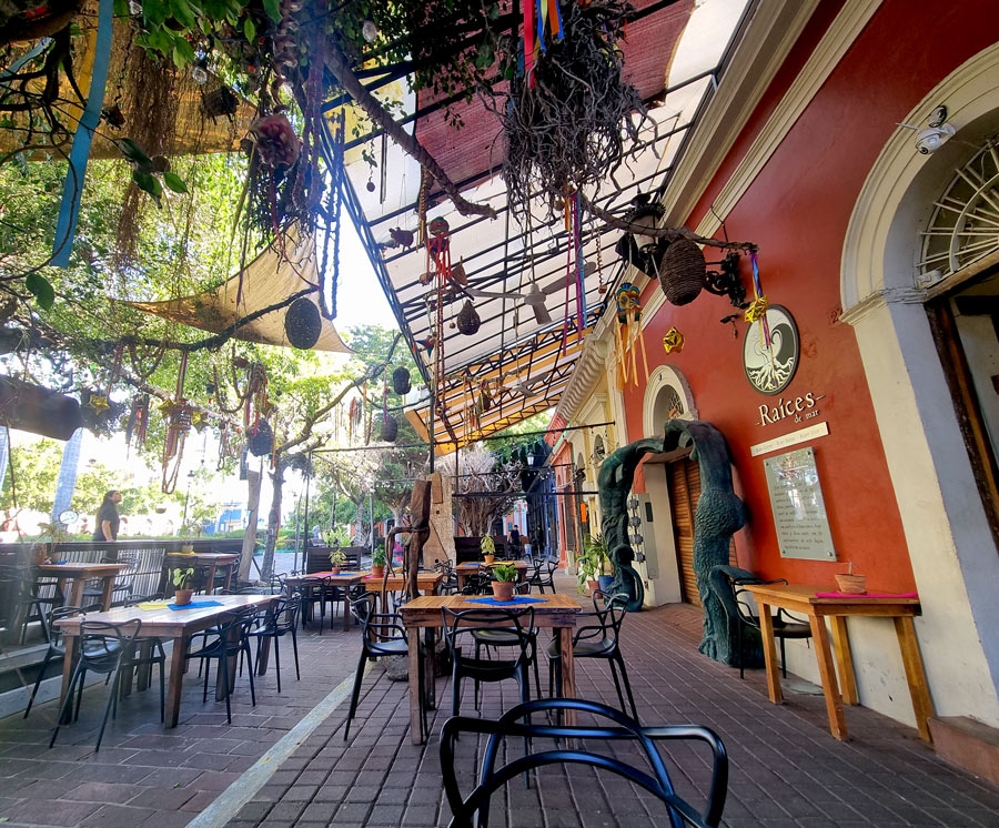 restaurant hotel raices de mar mazatlan