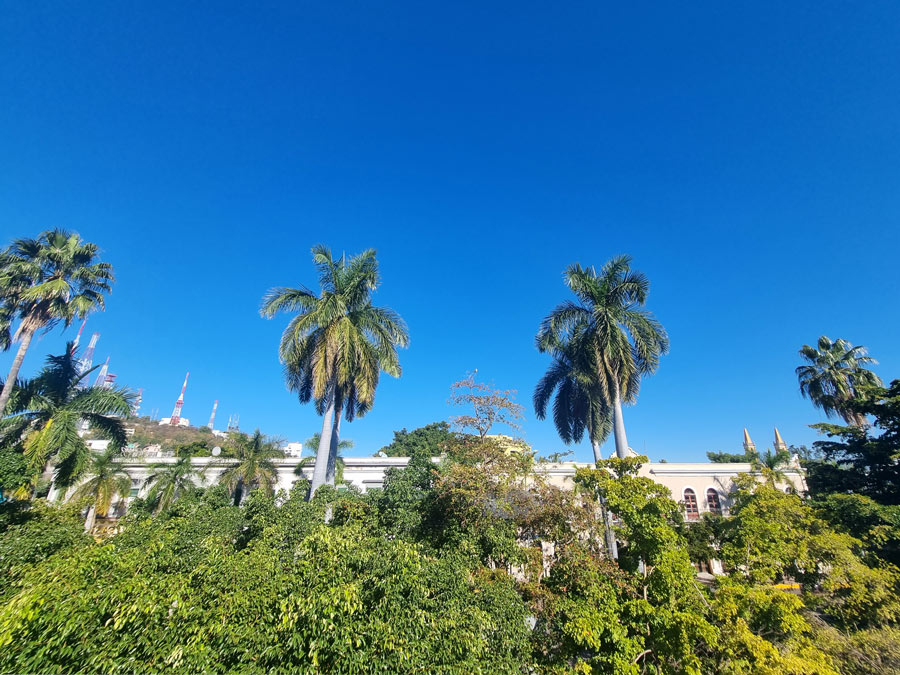 vista terraza plaza machado mazatlan