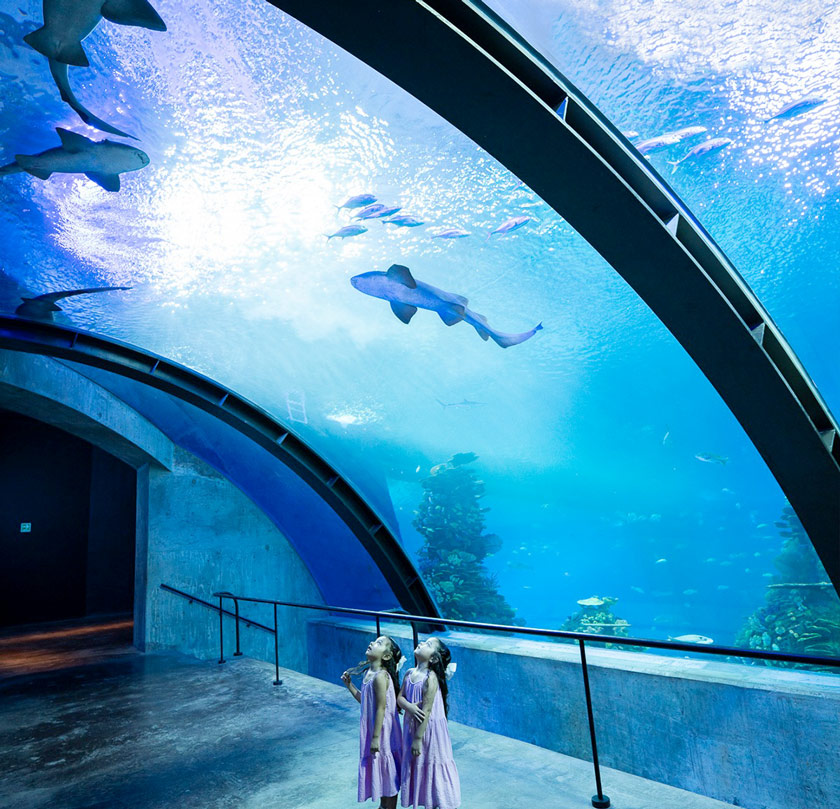grand aquarium mazatlan