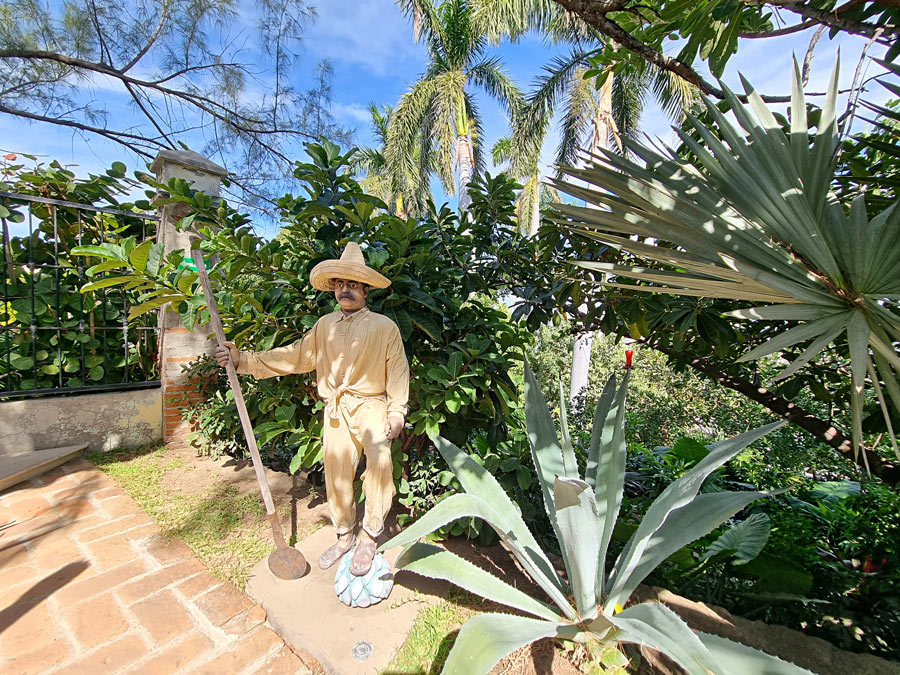 maguey distillerie observatoire mazatlan