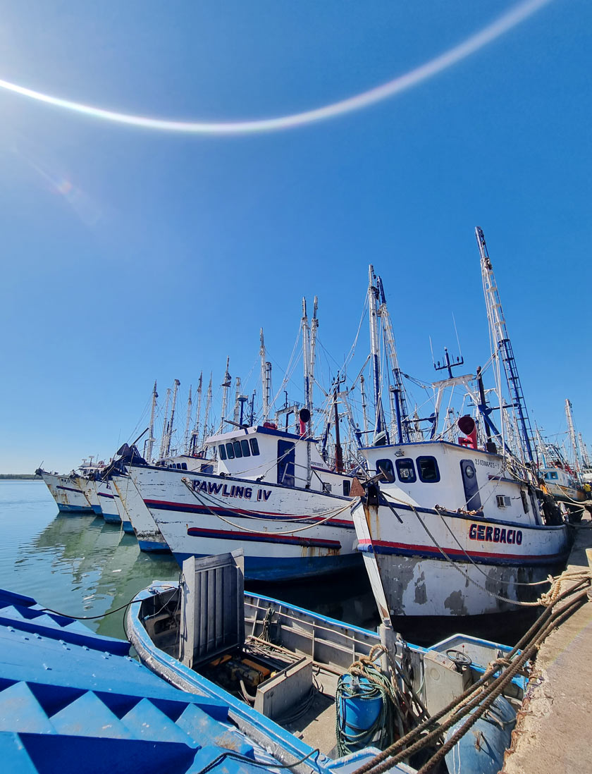 port de peche mazatlan